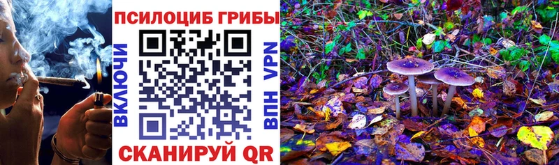 Купить где  Лянтор  Псилоцибиновые грибы Psilocybine cubensis 
